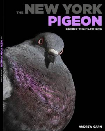 The New York Pigeon by Andrew Garn