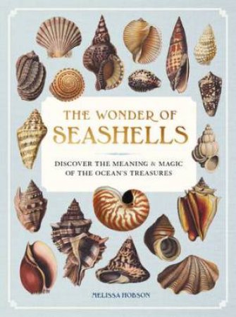 The Wonder of Seashells by Melissa Hobson