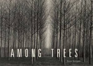 Among Trees by Sean Kernan