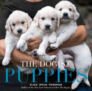 The Dogist Puppies by Elias Friedman