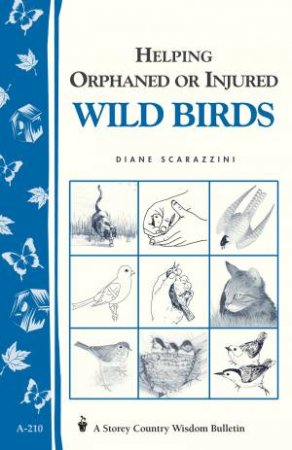 Helping Orphaned or Injured Wild Birds: Storey's Country Wisdom Bulletin  A.210 by DIANE SCARAZZINI