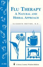 Flu Therapy A Natural and Herbal Approach Storeys Country Wisdom Bulletin  A266