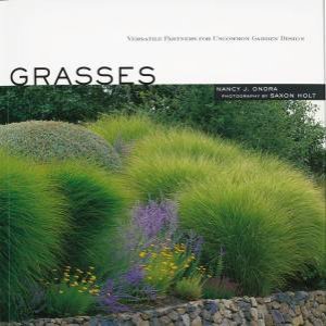 Grasses by ONDRA / HOLT