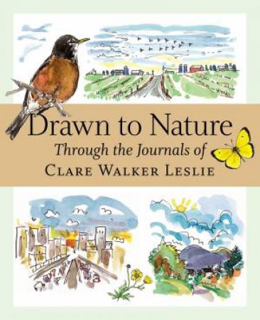 Drawn to Nature by CLARE WALKER LESLIE