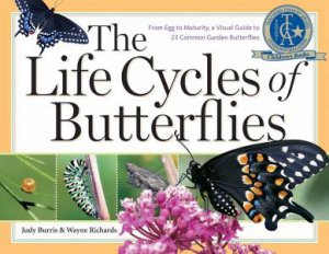 Life Cycles of Butterflies by BURRIS / RICHARDS