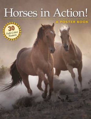 Horses In Action!: A Poster Book by Various