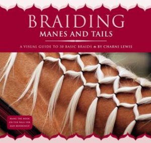 Braiding Manes and Tails by Charni Lewis