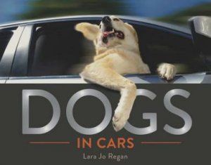 Dogs in Cars by Lara Jo Regan