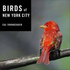 Birds Of New York City by Cal Vornberger