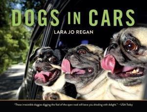 Dogs in Cars by Lara Jo Regan