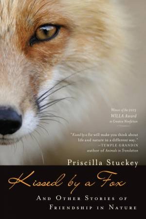 Kissed by a Fox by Priscilla Stuckey