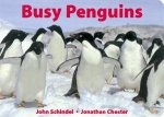 Busy Penguins