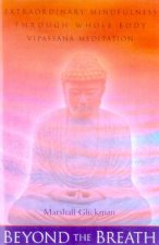 Beyond The Breath WholeBody Vipassana Meditation