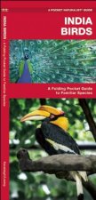India Birds A Folding Pocket Guide To Familiar Species