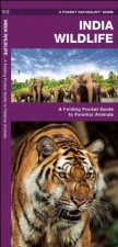 India Wildlife A Folding Pocket Guide To Familiar Animals