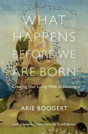 What Happens Before We Are Born by Arie Boogert