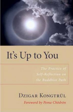 It's Up To You by Dzigar Kongtrul