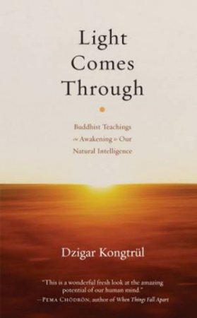 Light Comes Through by Dzigar Kongtrul