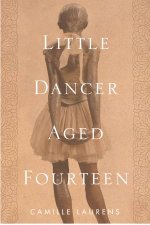 Little Dancer Aged Fourteen The True Story Behind Degass Masterpiece