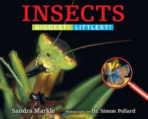 Insects: Biggest! Littlest by Sandra Markle & Simon Pollard