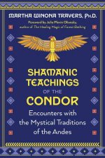 Shamanic Teachings of the Condor