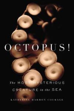 Octopus!: The Most Mysterious Creature in the Sea by Courage Katherine Harmon