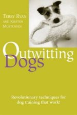 Outwitting Dogs