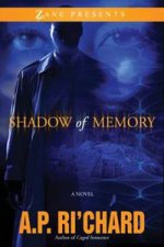 Shadow of Memory