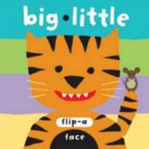 Big Little: Flip-a-Face by SAMi