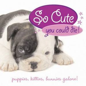 So Cute You Could Die! by Jennie Summers