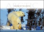 Visions of the Arctic