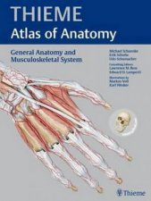 General Anatomy and Musculoskeletal System