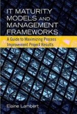 IT Maturity Models and Management Frameworks