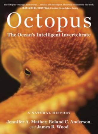 Octopus by ANDERSON / MATHER