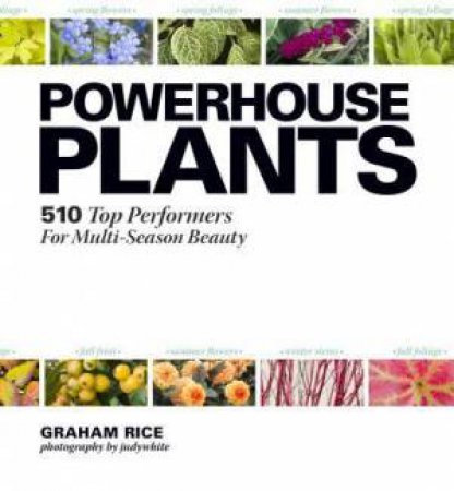 Powerhouse Plants: 510 Top Performers for Multi-Season Beauty by JUDYWHITE / RICE