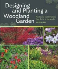 Designing and Planting a Woodland Garden Plants and Combinations That Thrive in the Shade