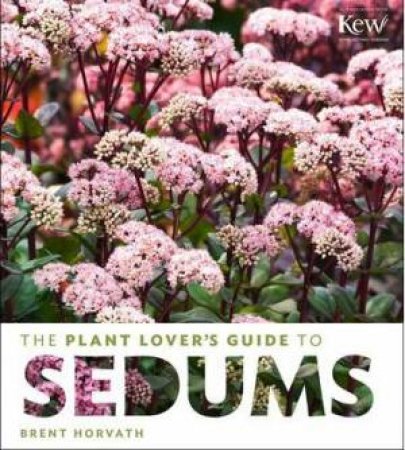 Plant Lover's Guide to Sedums by BRENT HORVATH