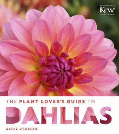 Plant Lover's Guide to Dahlias by ANDY VERNON