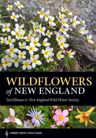 Wildflowers of New England by ELLIMAN / NEW ENGLAND WILD FLOWER SOCIETY