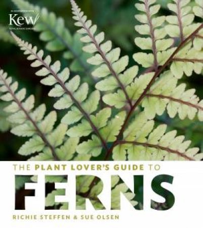 Plant Lover's Guide to Ferns by SUE OLSEN