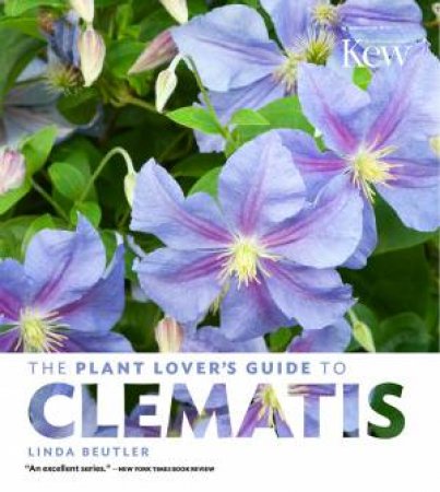 Plant Lover's Guide to Clematis by LINDA BEUTLER