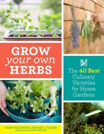 Grow Your Own Herbs: The 40 Best Culinary Varieties For Home Gardens by Susan Belsinger