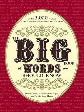 The Big Book of Words You Should Know by David Olsen & Michelle Bevilacqua & Justin Cord Hayes