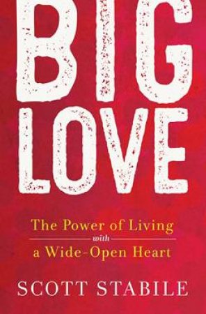 Big Love by Scott Stabile