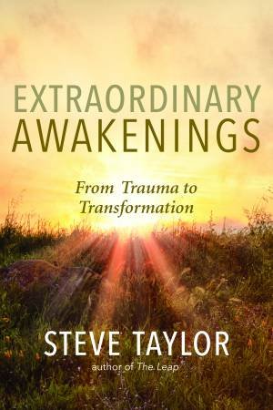 Extraordinary Awakenings by Steve Taylor