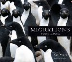 Migrations