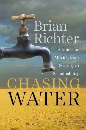 Chasing Water by Brian Ritcher