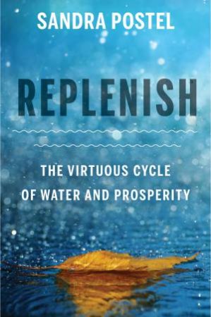 Replenish by Sandra Postel