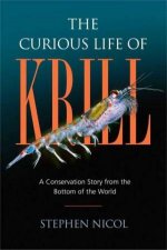 The Curious Life Of Krill