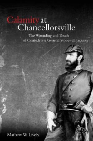 Calamity at Chancellorsville by LIVELY MATHEW